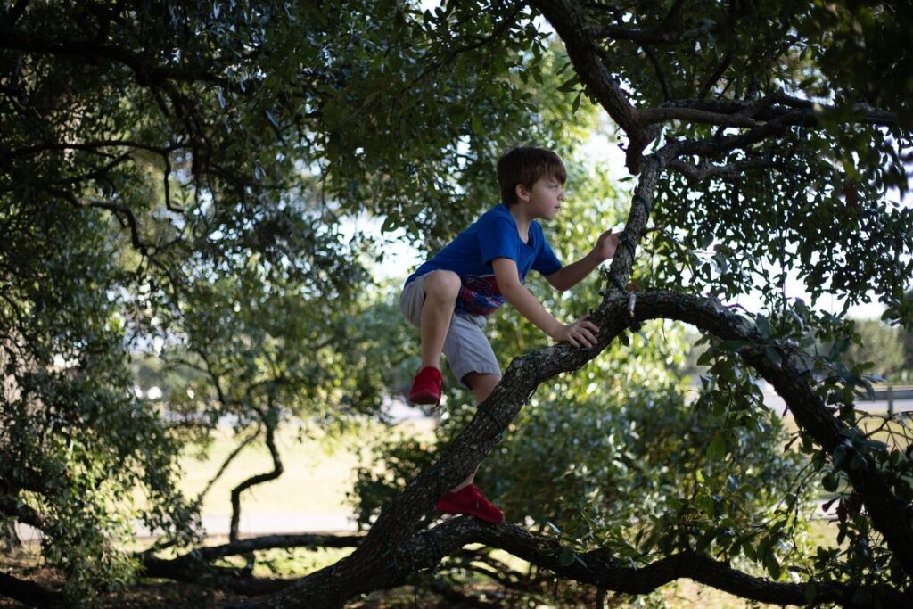 ADHD – ce este, cauze, simptome, diagnostic și tratament