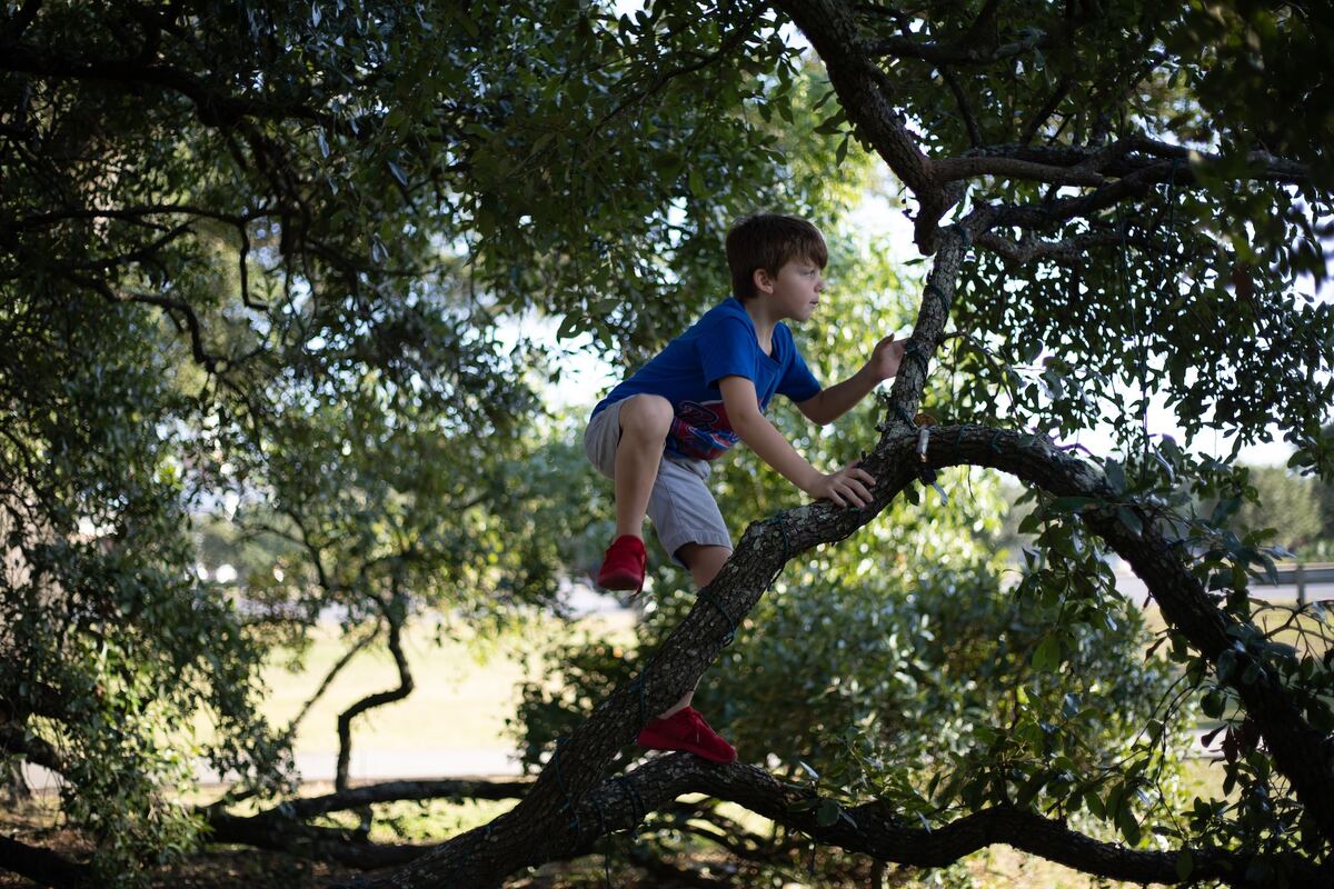 ADHD – ce este, cauze, simptome, diagnostic și tratament