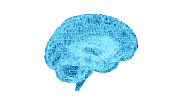 Creier 3D - scanare BrainMap