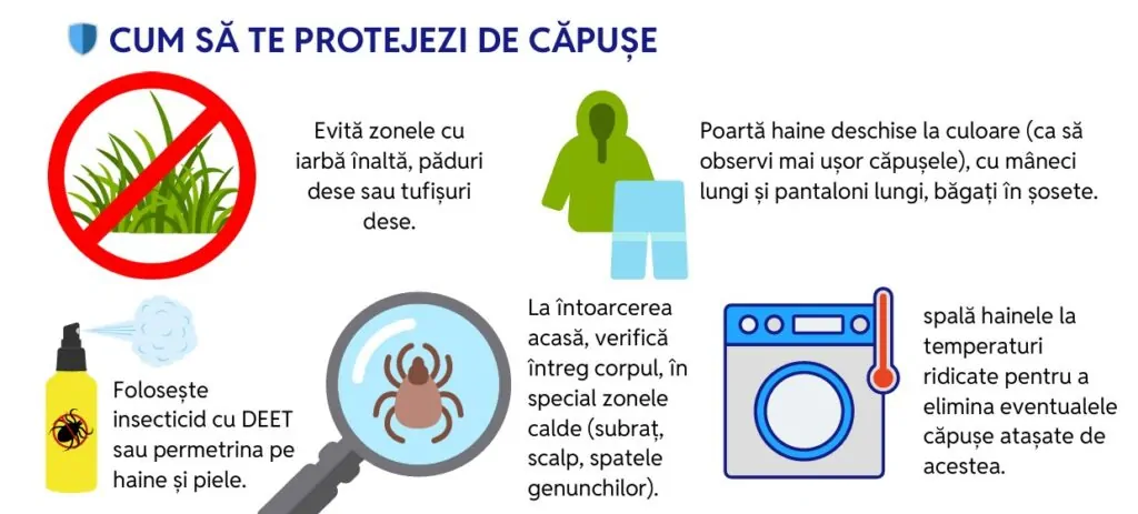 Infografic: cum te protejezi de căpușe și cum previi boala Lyme
