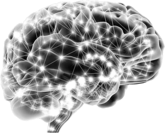 Hartă cerebrală BrainMap