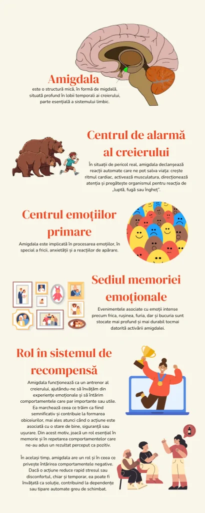 Amigdala infografic