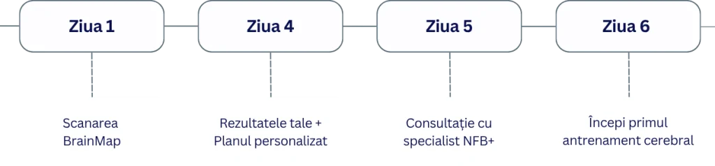 Timeline Protocol BrainMap: Ziua 1, 4, 5, 6